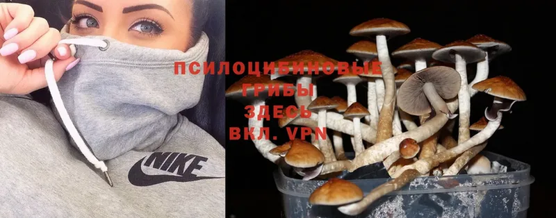 как найти закладки  Лобня  Псилоцибиновые грибы Magic Shrooms 