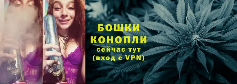 Канабис LSD WEED  купить наркотики цена  MEGA ссылки  Лобня 